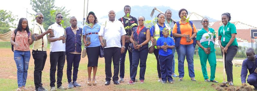 PLANTING THE BALANCE - MILD MAY HOSPITAL