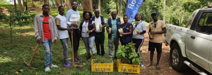 KIWAMIREMBE PLANTING THE BALANCE TREE REPLACEMENTS