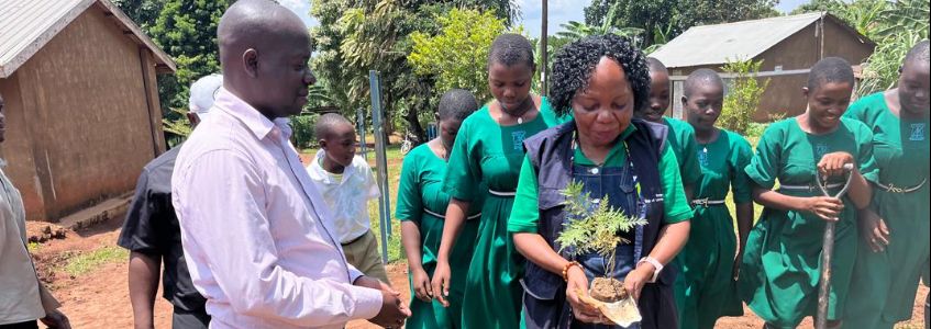RC LUBOWA PLANTS TREES IN 19 SCHOOLS IN KATABI T.C